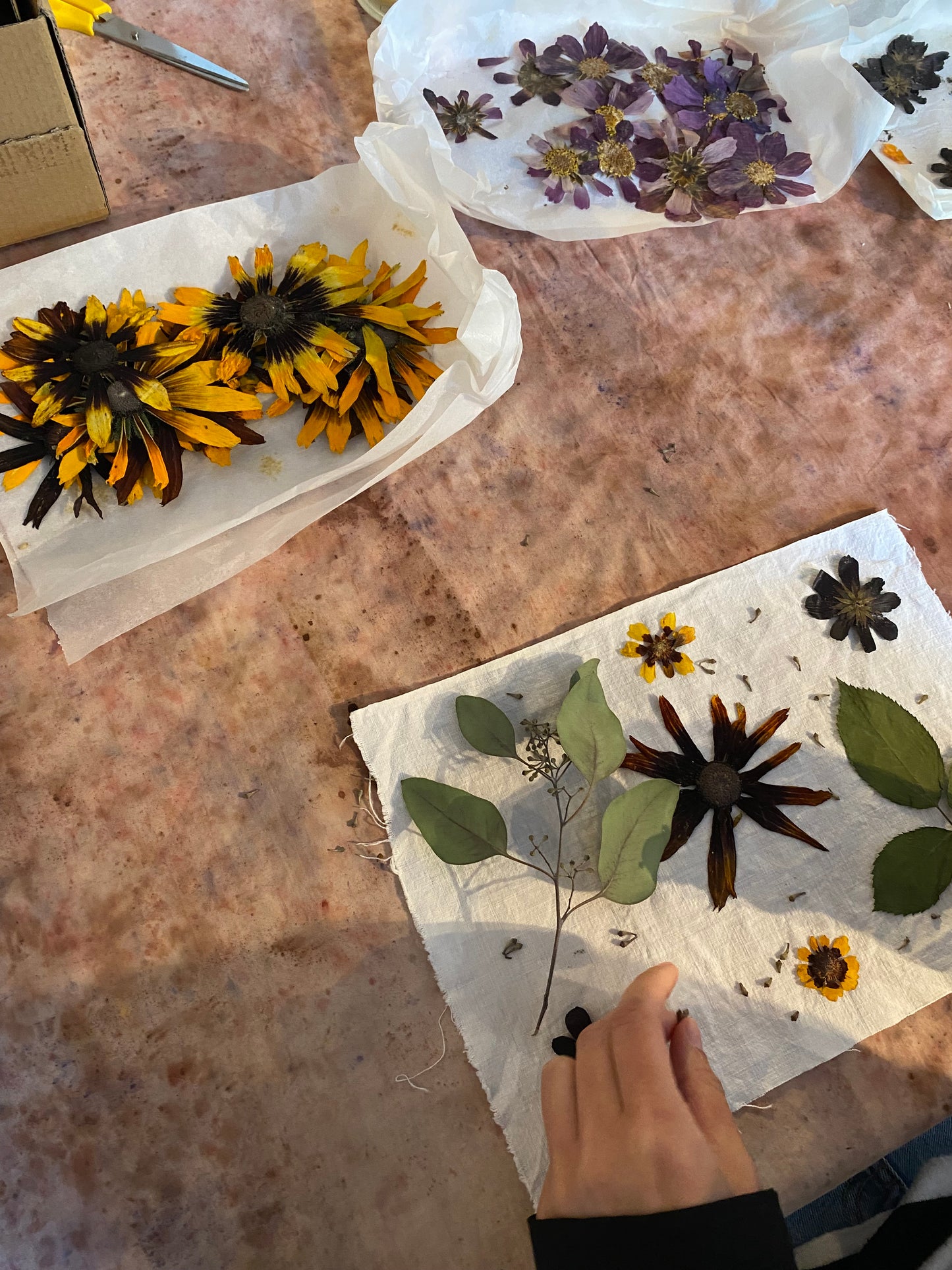 Atelier teinture végétale impressions végétale